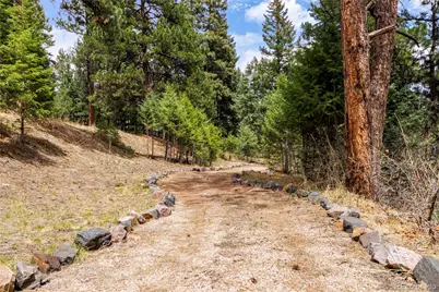 7008 Bluff Trail, Morrison, CO 80465 - Photo 5
