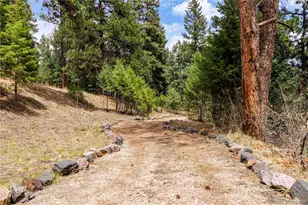7008 Bluff Trail, Morrison, CO 80465 - Photo 5