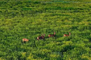 24030 County Road 43 6, Aguilar, CO 81020 - Photo 9
