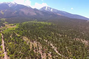 33 Big Bear Rd, Mosca, CO 81146 - Photo 21