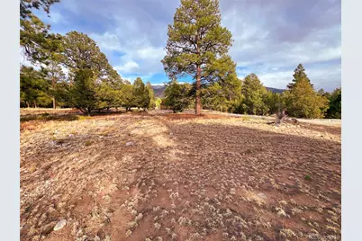 33 Big Bear Road, Mosca, CO 81146 - Photo 19