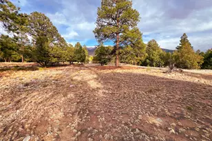 33 Big Bear Rd, Mosca, CO 81146 - Photo 19
