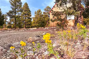33 Big Bear Rd, Mosca, CO 81146 - Photo 15