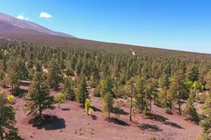 33 Big Bear Rd, Mosca, CO 81146 - Photo 27