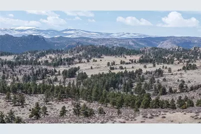 16420 W County Road 74E, Livermore, CO 80536 - Photo 3