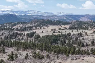 16420 W County Rd 74e, Livermore, CO 80536 - Photo 3