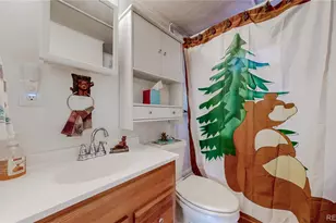 16420 W County Rd 74e, Livermore, CO 80536 - Photo 7