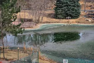 1250 Golden Cir, Golden, CO 80401 - Photo 23