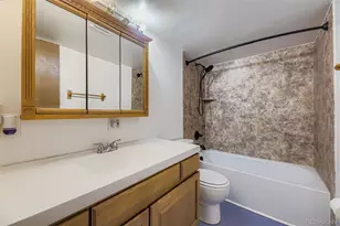 4641 S Lowell Blvd, Denver, CO 80236 - Photo 15