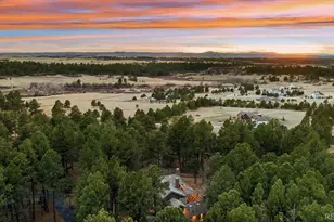 590 Grey Squirrel Way, Franktown, CO 80116 - Photo 43