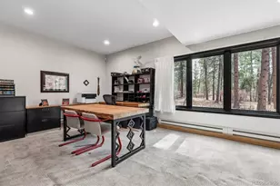 590 Grey Squirrel Way, Franktown, CO 80116 - Photo 35