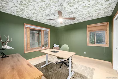 317 Ridge Road, Ward, CO 80481 - Photo 21