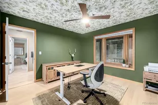 317 Ridge Rd, Ward, CO 80481 - Photo 19