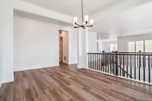 1607 Green Fern Pt, Castle Rock, CO 80104 - Photo 5