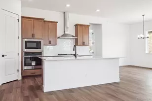 1607 Green Fern Pt, Castle Rock, CO 80104 - Photo 13