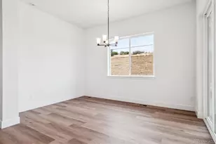 1607 Green Fern Pt, Castle Rock, CO 80104 - Photo 15