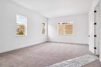 1607 Green Fern Point, Castle Rock, CO 80104 - Photo 17