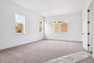 1607 Green Fern Pt, Castle Rock, CO 80104 - Photo 17