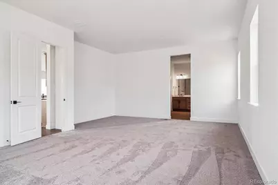 1607 Green Fern Point, Castle Rock, CO 80104 - Photo 19