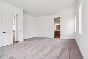 1607 Green Fern Pt, Castle Rock, CO 80104 - Photo 19