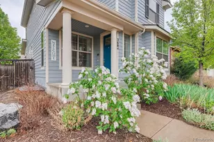 3684 Wabash St, Denver, CO 80238 - Photo 19