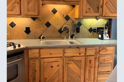 110 Wallace Drive, Florissant, CO 80816 - Photo 19