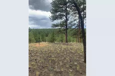 110 Wallace Drive, Florissant, CO 80816 - Photo 41