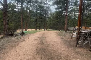 110 Wallace Dr, Florissant, CO 80816 - Photo 35