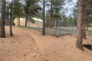 110 Wallace Dr, Florissant, CO 80816 - Photo 47