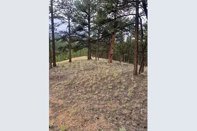 110 Wallace Drive, Florissant, CO 80816 - Photo 39