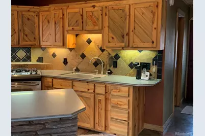 110 Wallace Drive, Florissant, CO 80816 - Photo 23