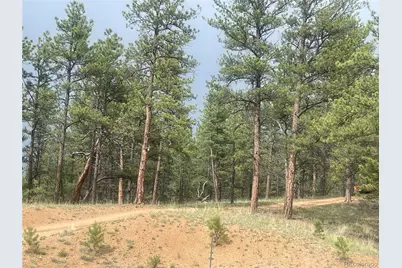 110 Wallace Drive, Florissant, CO 80816 - Photo 33