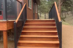 110 Wallace Dr, Florissant, CO 80816 - Photo 5