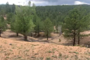 110 Wallace Dr, Florissant, CO 80816 - Photo 29