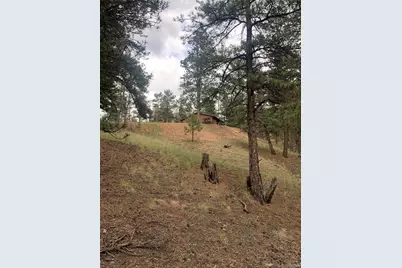 110 Wallace Drive, Florissant, CO 80816 - Photo 43