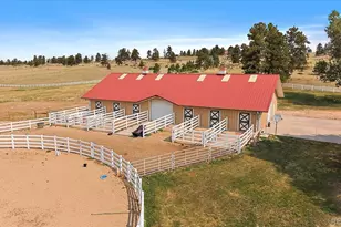 10445 Tomahawk Rd, Parker, CO 80138 - Photo 41