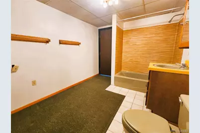 305 Divide View Drive, Idaho Springs, CO 80452 - Photo 41