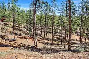 16536 Ouray Rd W, Pine, CO 80470 - Photo 31