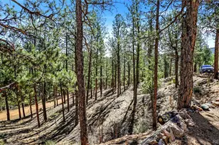 16536 Ouray Rd W, Pine, CO 80470 - Photo 25