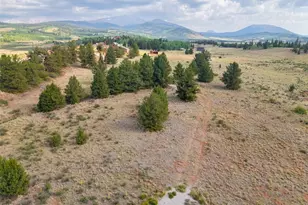1344 Silverheels Rd, Fairplay, CO 80440 - Photo 1