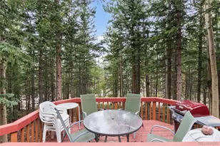 31 Aspen Loop Rd, Idaho Springs, CO 80452 - Photo 13