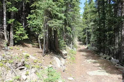 00 Hidden Wilderness Road, Idaho Springs, CO 80452 - Photo 15