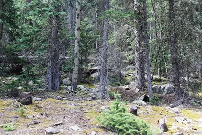 00 Hidden Wilderness Road, Idaho Springs, CO 80452 - Photo 3