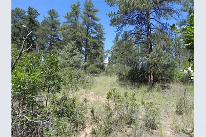 4144 Cheyenne Drive, Larkspur, CO 80118 - Photo 27