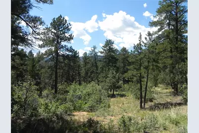 4144 Cheyenne Drive, Larkspur, CO 80118 - Photo 17