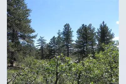 4144 Cheyenne Drive, Larkspur, CO 80118 - Photo 21