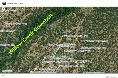 1731 Willow Creek Way, Crestone, CO 81131 - Photo 1