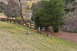 4 Blue Grouse Ridge Rd, Littleton, CO 80127 - Photo 39