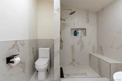 1246 S Clarkson Street, Denver, CO 80210 - Photo 11