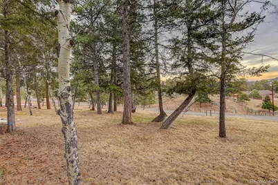 9039 S Bertha Court, Morrison, CO 80465 - Photo 11